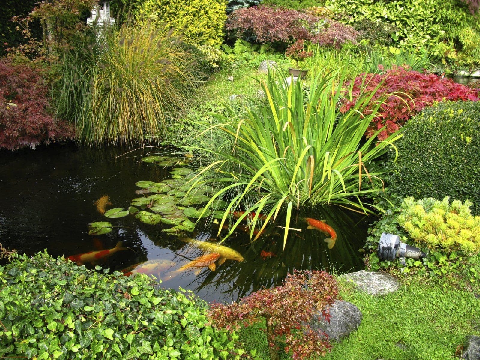 Kleingärtner-Verein Wendessen